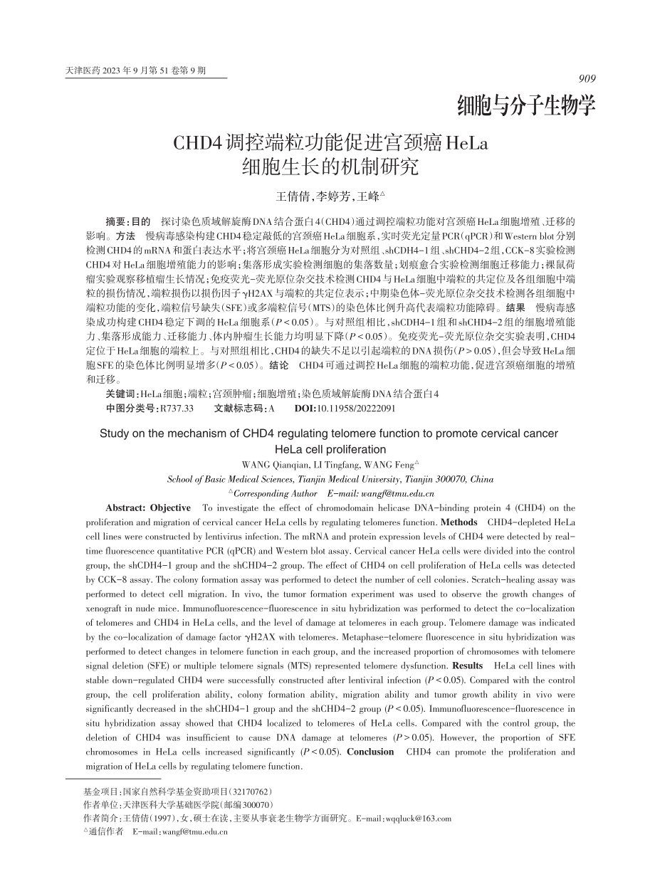 CHD4调控端粒功能促进宫颈癌HeLa细胞生长的机制研究.pdf_第1页