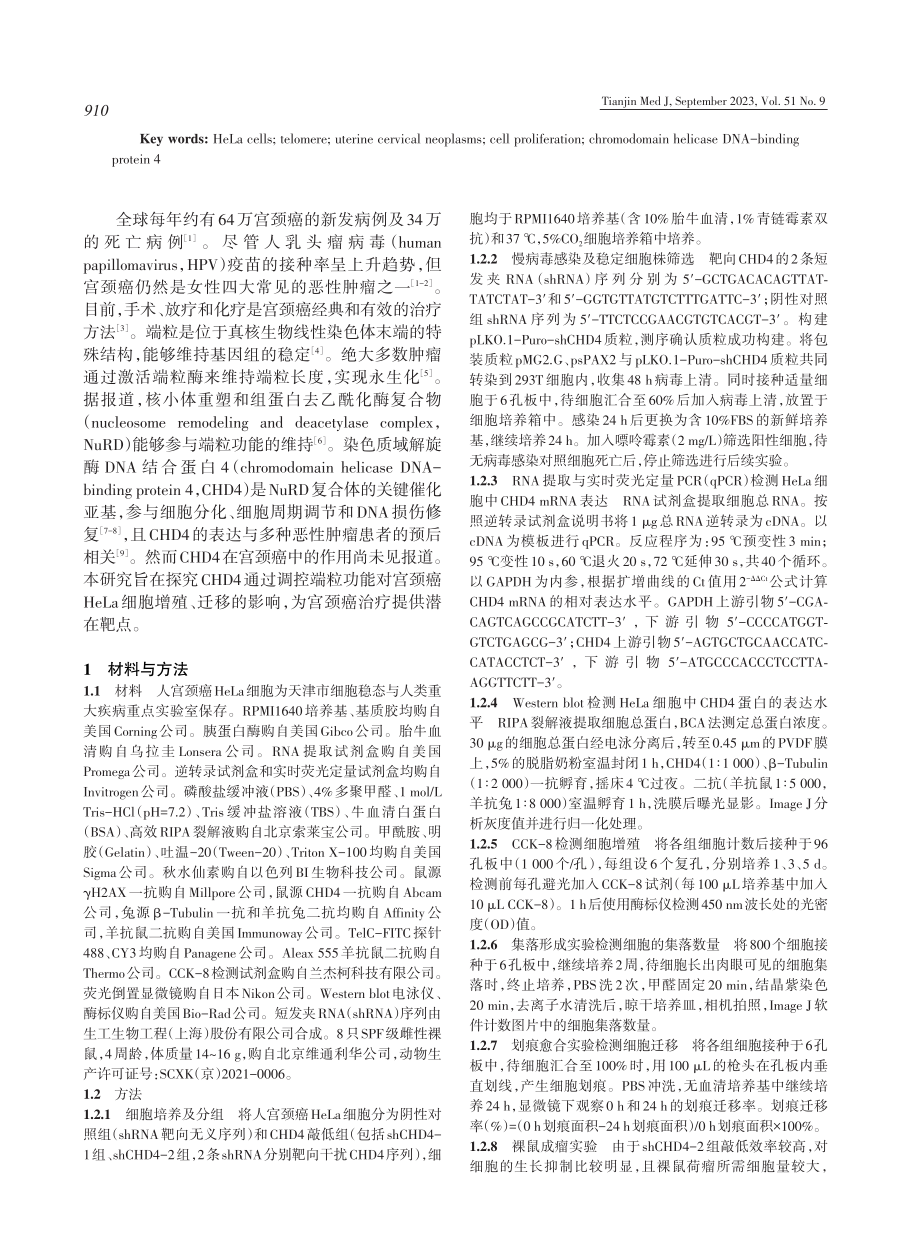 CHD4调控端粒功能促进宫颈癌HeLa细胞生长的机制研究.pdf_第2页