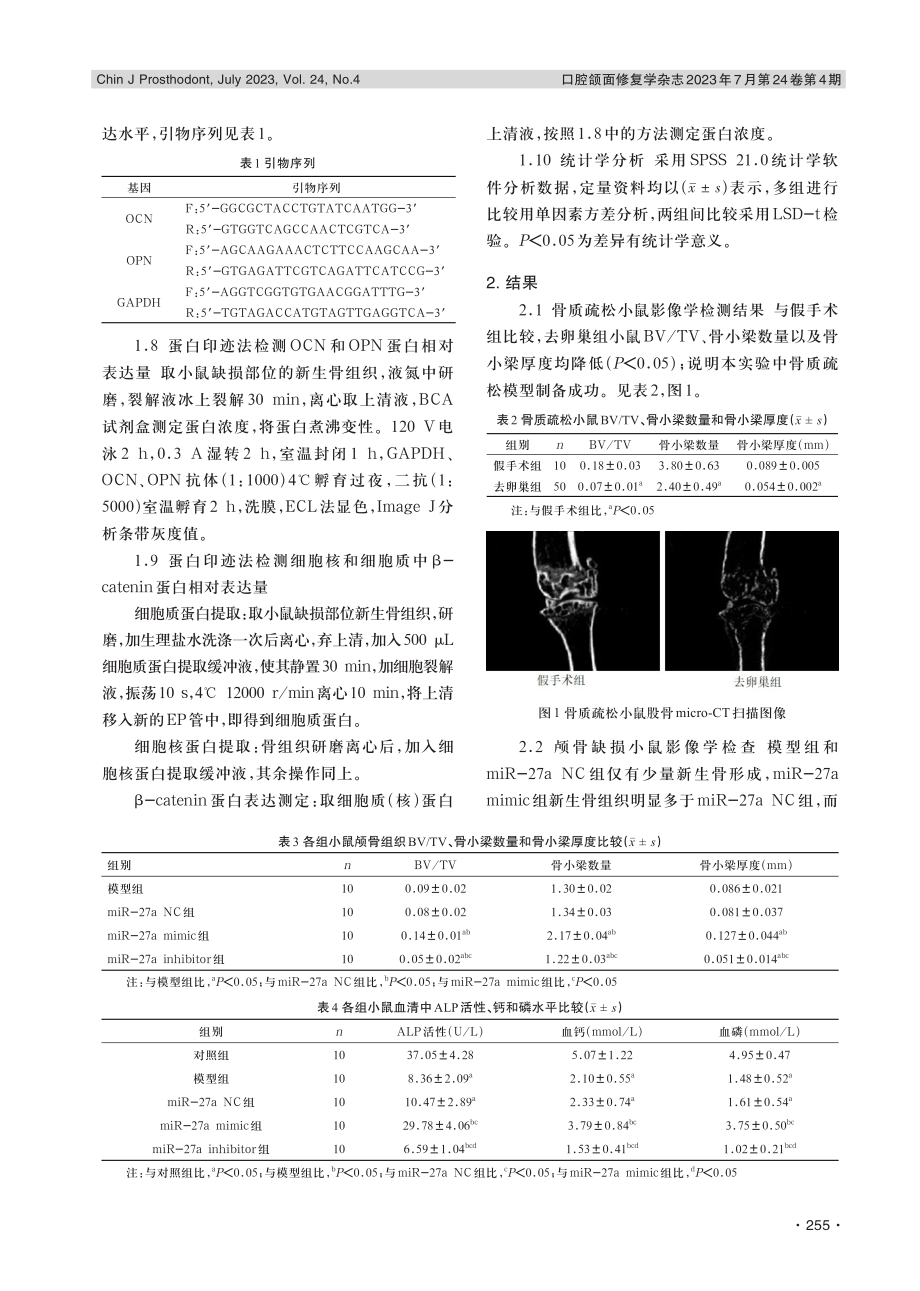 miR-27a通过Wnt_β-catenin通路对骨质疏松小鼠颅骨缺损的修复效果及机制研究.pdf_第3页