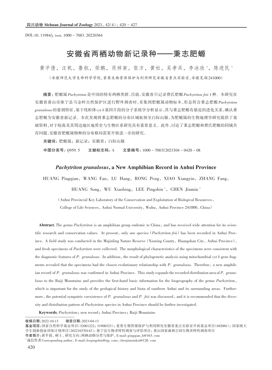 安徽省两栖动物新记录种——秉志肥螈.pdf_第1页