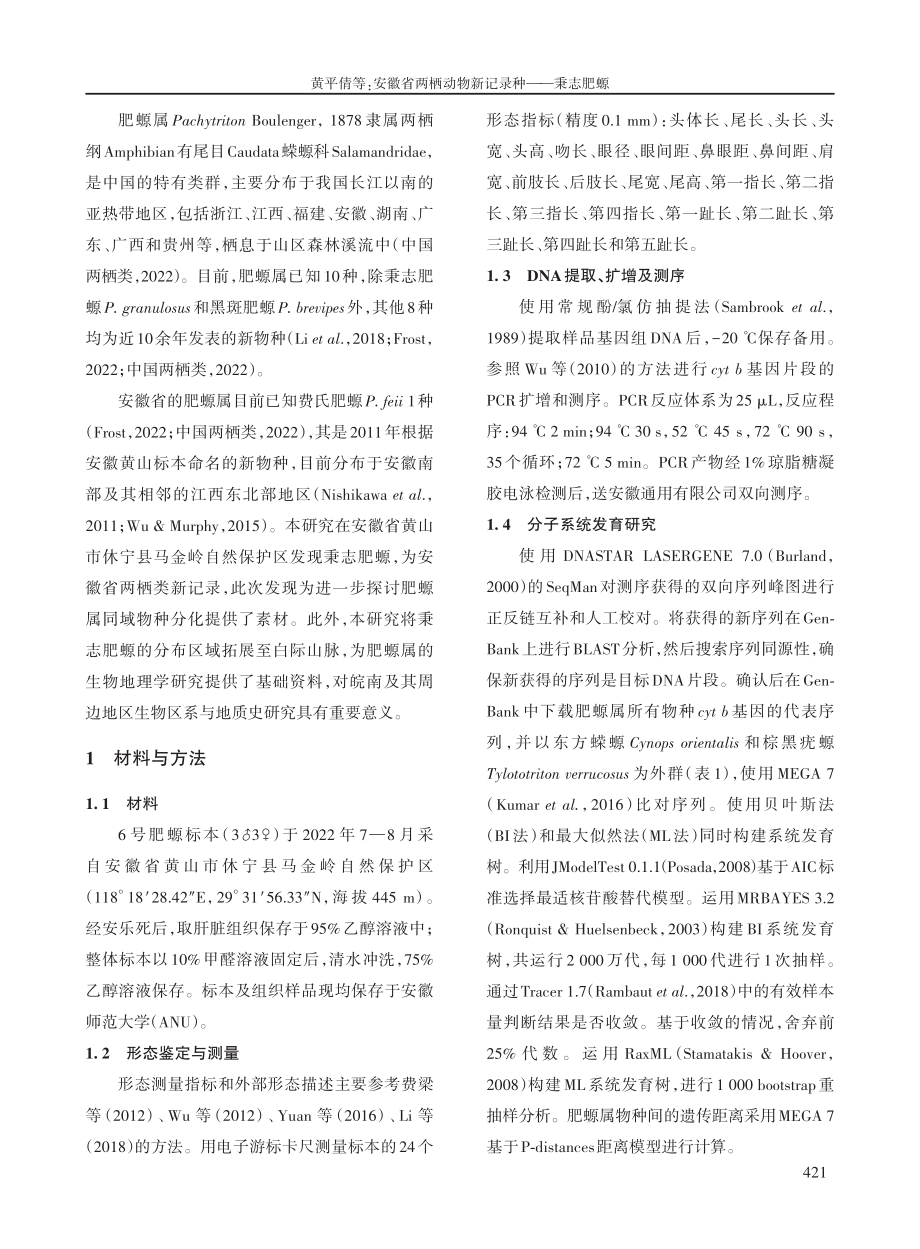 安徽省两栖动物新记录种——秉志肥螈.pdf_第2页