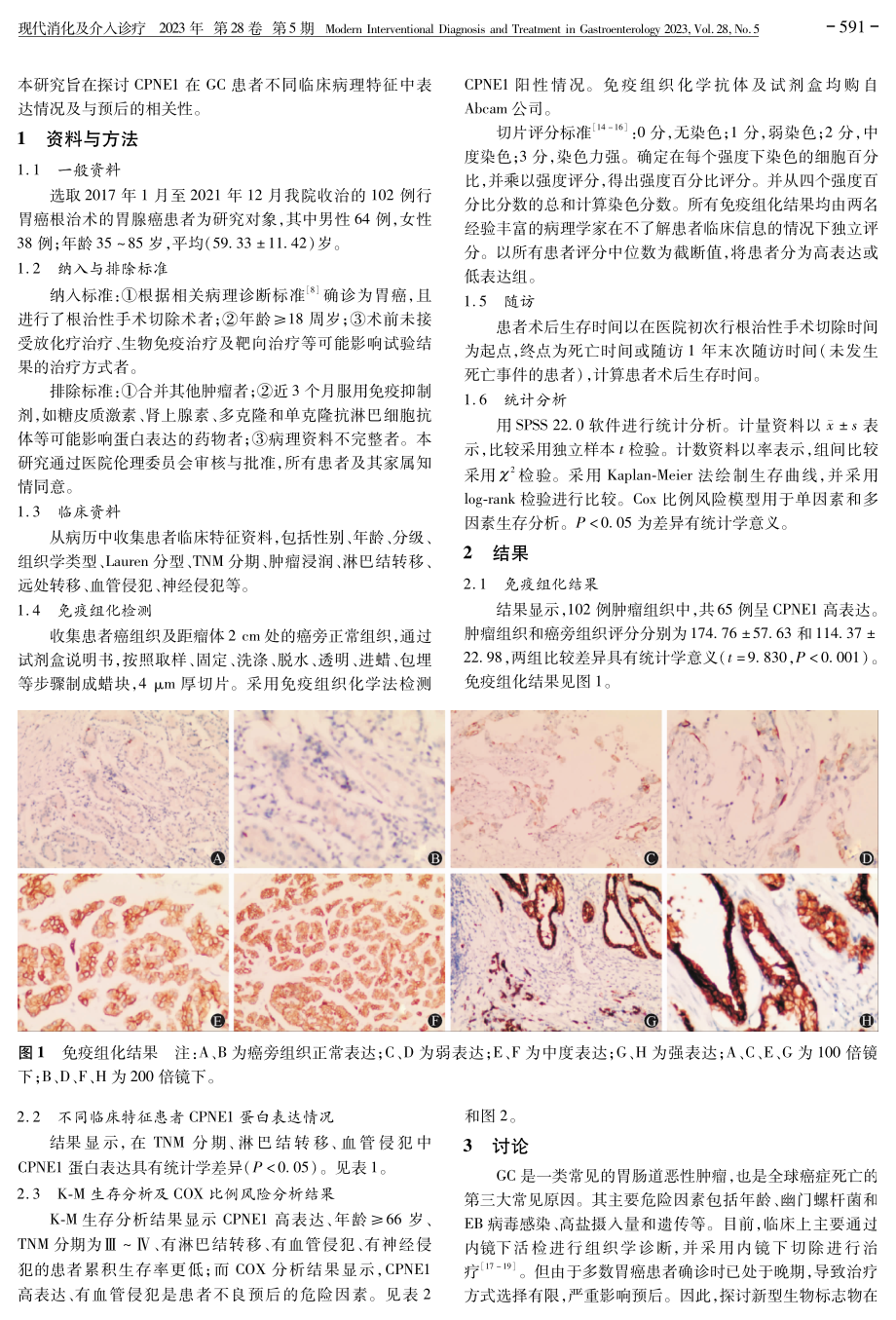 Copines-1与胃癌患者临床病理特征及疾病预后的关系.pdf_第2页