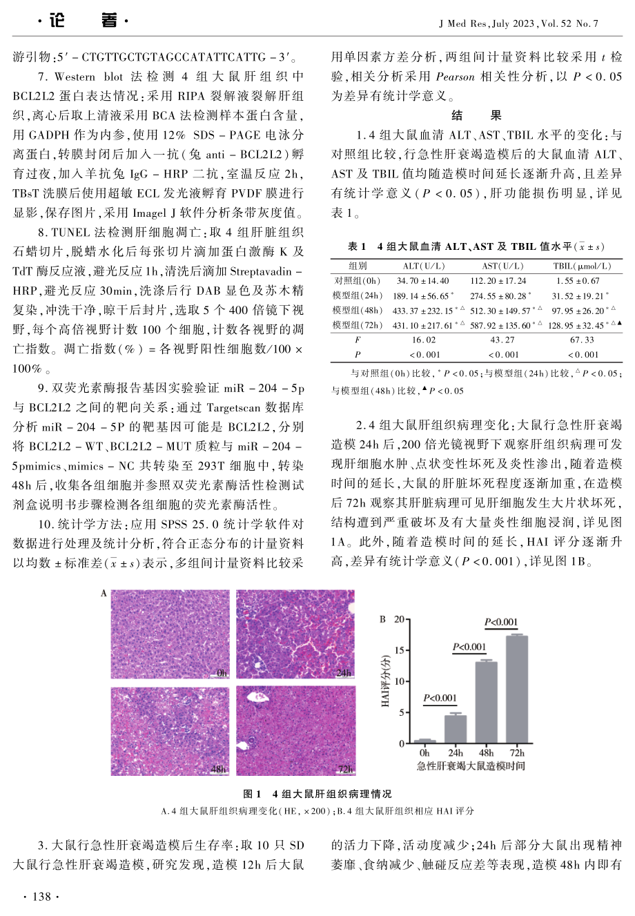 miR-204-5p靶向调控BCL2L2促进急性肝衰竭大鼠肝细胞凋亡的研究.pdf_第3页