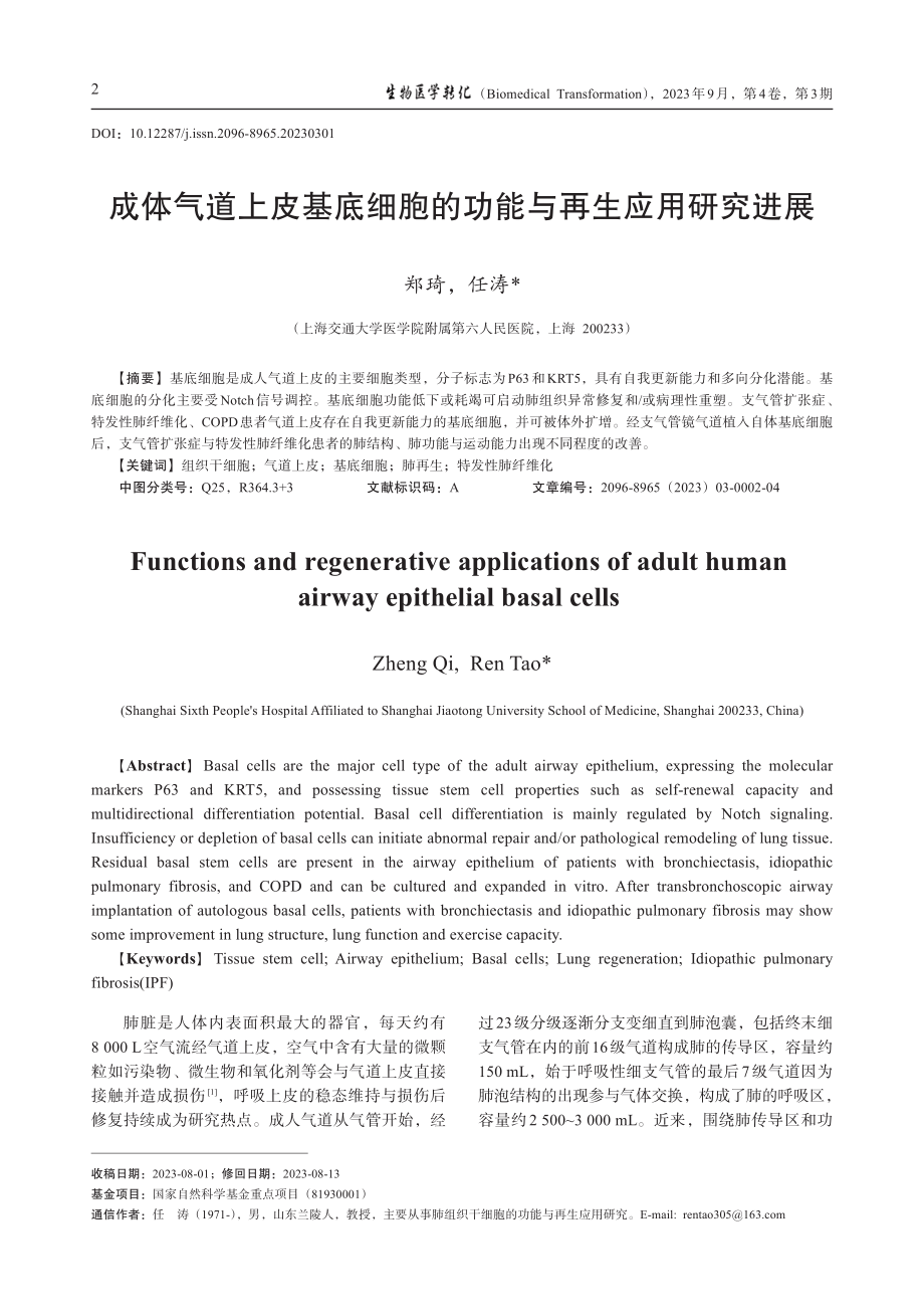 成体气道上皮基底细胞的功能与再生应用研究进展.pdf_第1页