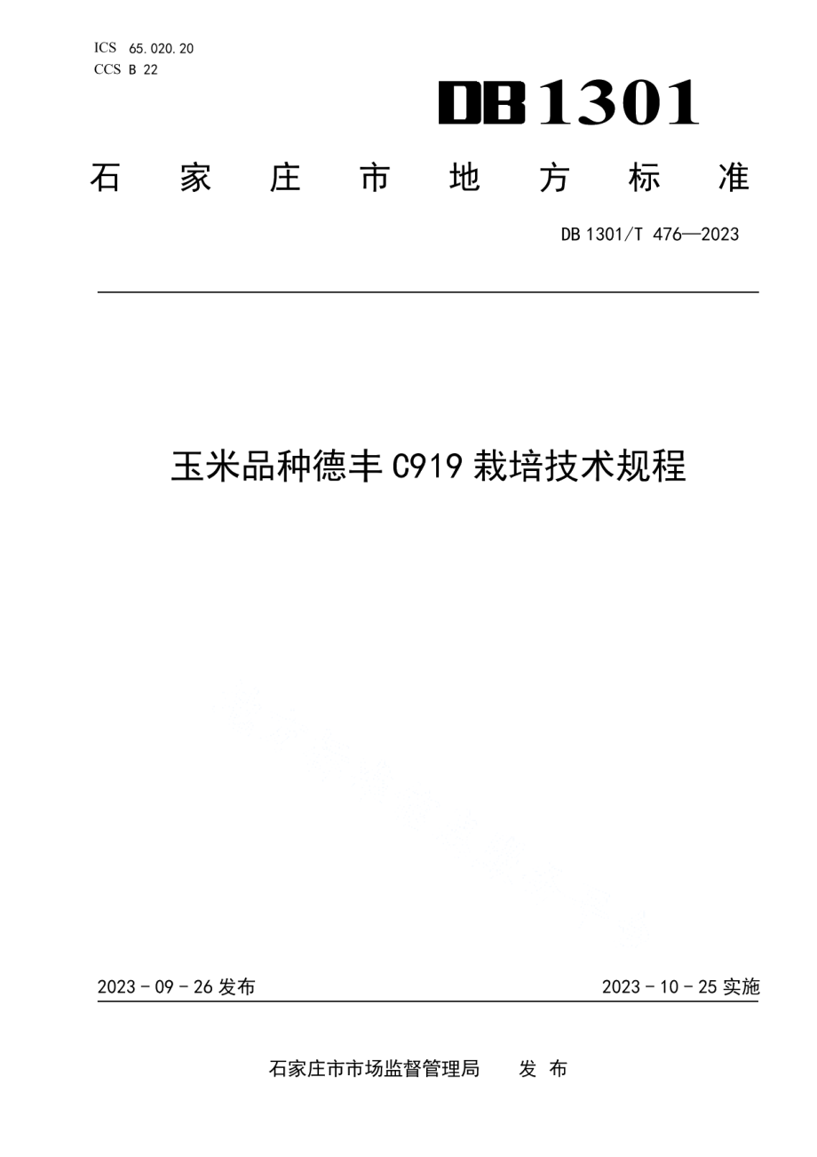 DB1301T476-2023玉米品种德丰C919栽培技术规程.pdf_第1页