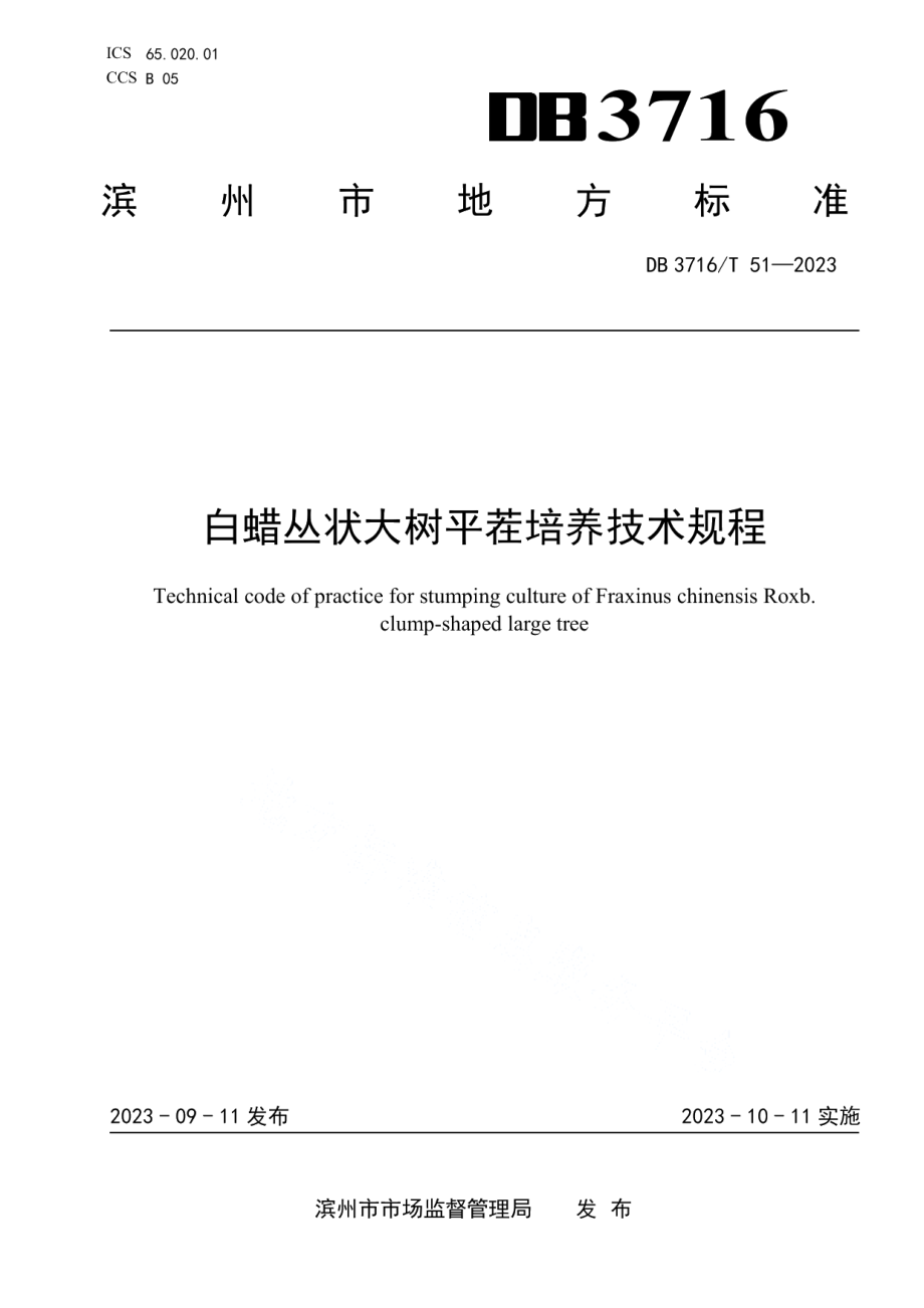 DB3716T 51-2023白蜡丛状大树平茬培养技术规程.pdf_第1页