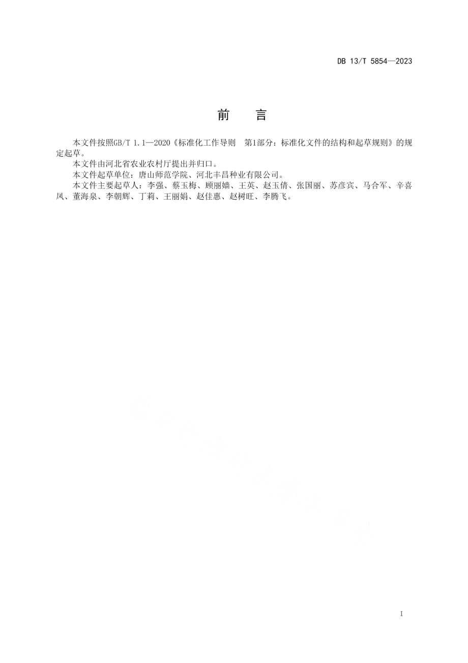 DB13T 5854-2023结球甘蓝露地越冬繁种技术规程.pdf_第3页