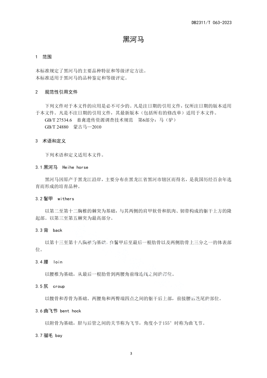 DB2311T63—2023黑河马.pdf_第3页