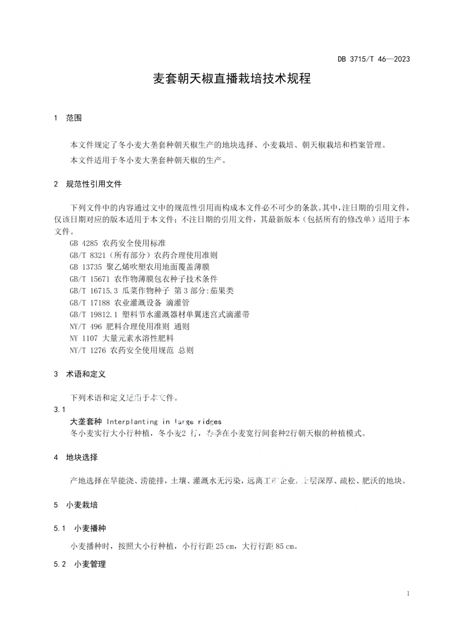 DB3715T 46-2023麦套朝天椒直播栽培技术规程.pdf_第3页