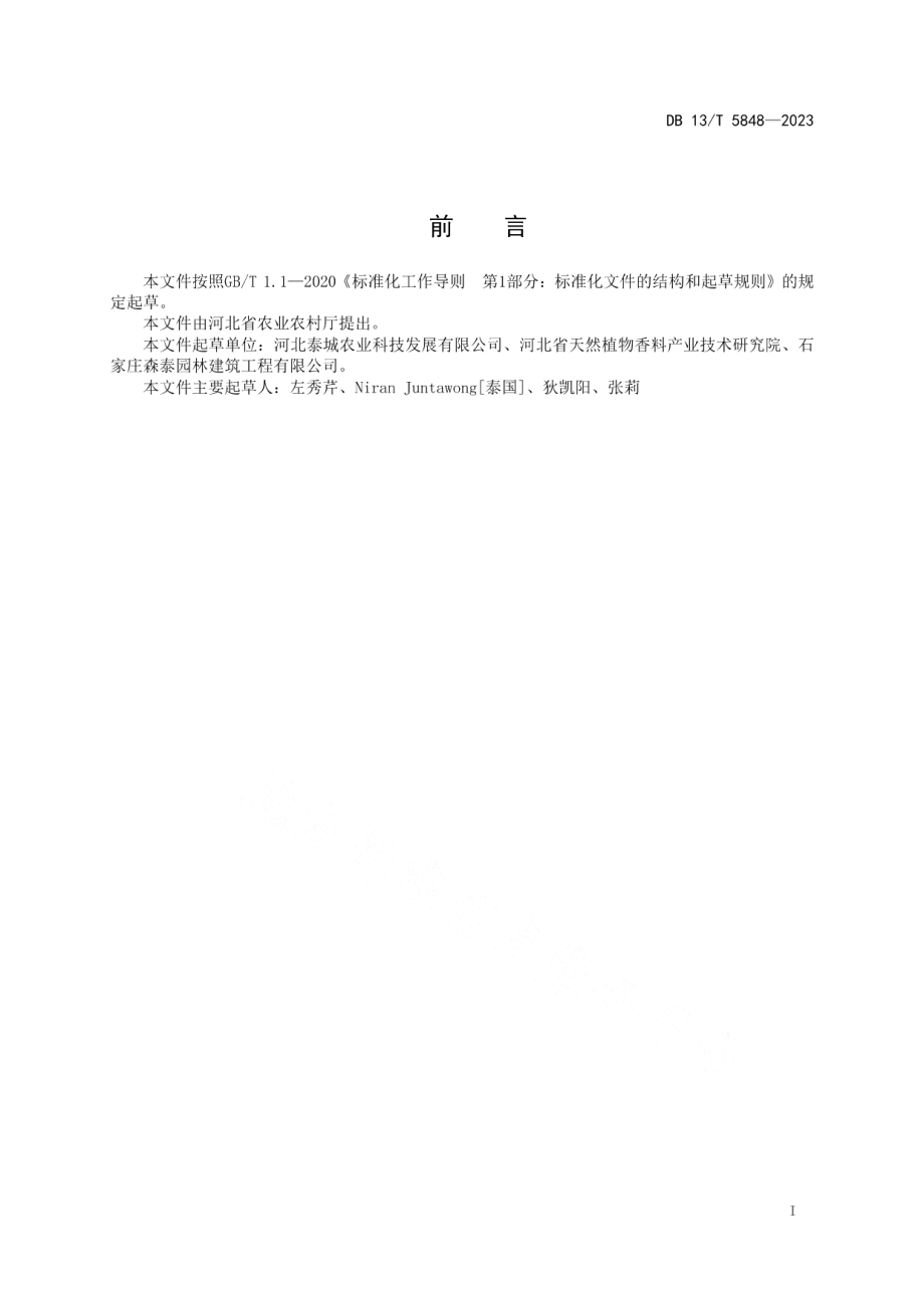 DB13T 5848-2023黑姜温室栽培技术规程.pdf_第3页