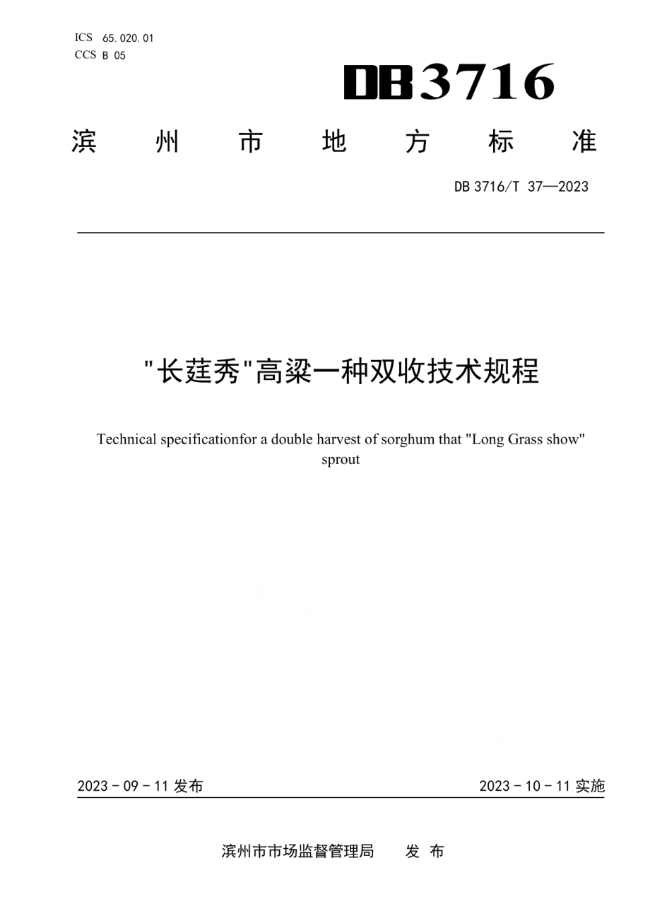 DB3716T 37-2023长莛秀高粱一种双收技术规程.pdf_第1页