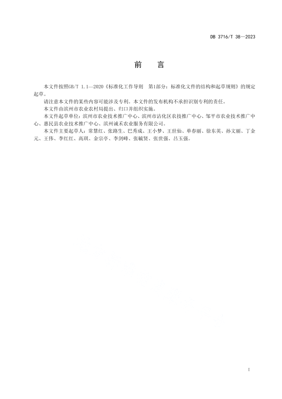 DB3716T 38-2023冬枣园绿盲蝽测报技术规程.pdf_第2页