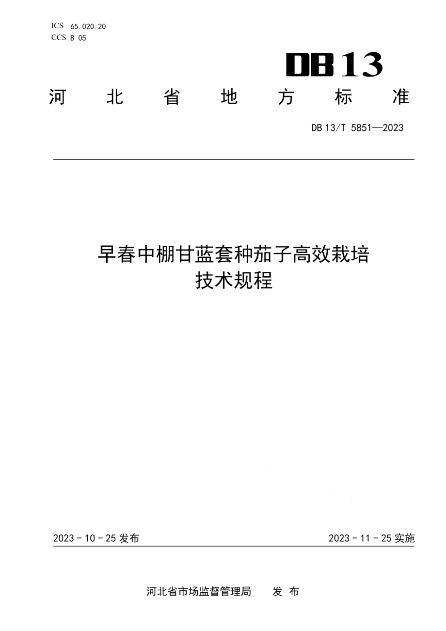 DB13T 5851-2023早春中棚甘蓝套种茄子高效栽培技术规程.pdf_第1页