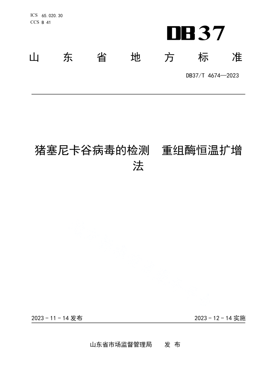 DB37T 4674—2023猪塞尼卡谷病毒的检测　重组酶恒温扩增法.pdf_第1页