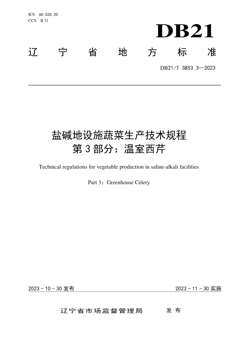 DB21T 3853.3-2023盐碱地设施蔬菜生产技术规程 第3部分：温室西芹.pdf_第1页