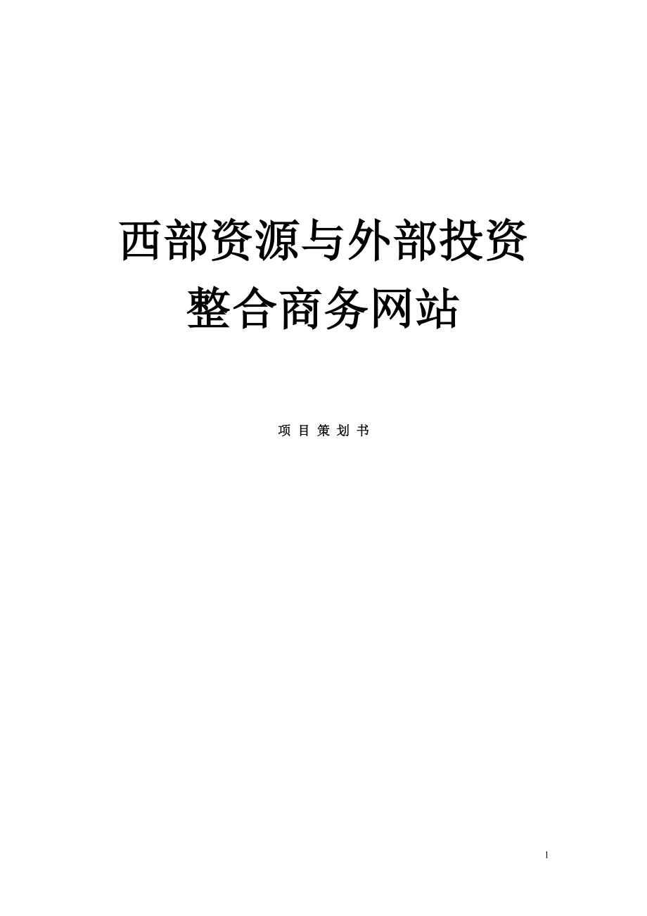 西部资源与外部投资整合商务网站项目策划.doc_第1页