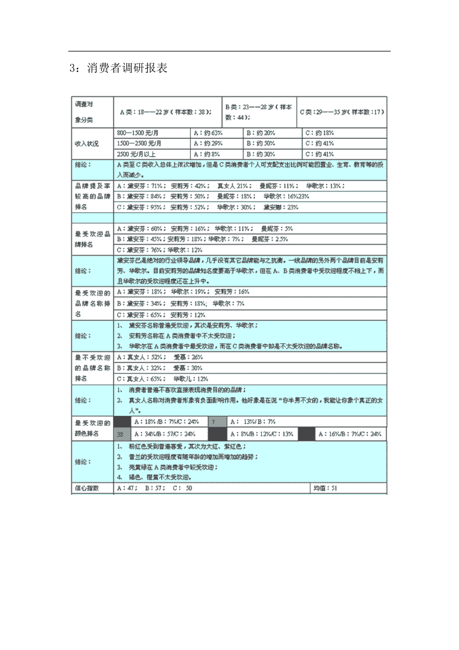 各大内衣品牌某市市场调查报告.doc_第3页