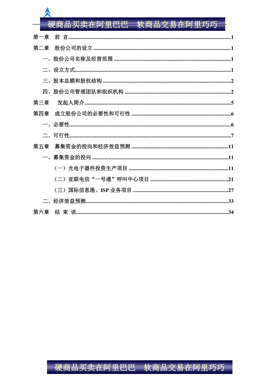 陕西亚联电信网络股份有限公司商业计划书.doc_第2页