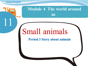 Unit 11 Small animals 第3课时课件.ppt