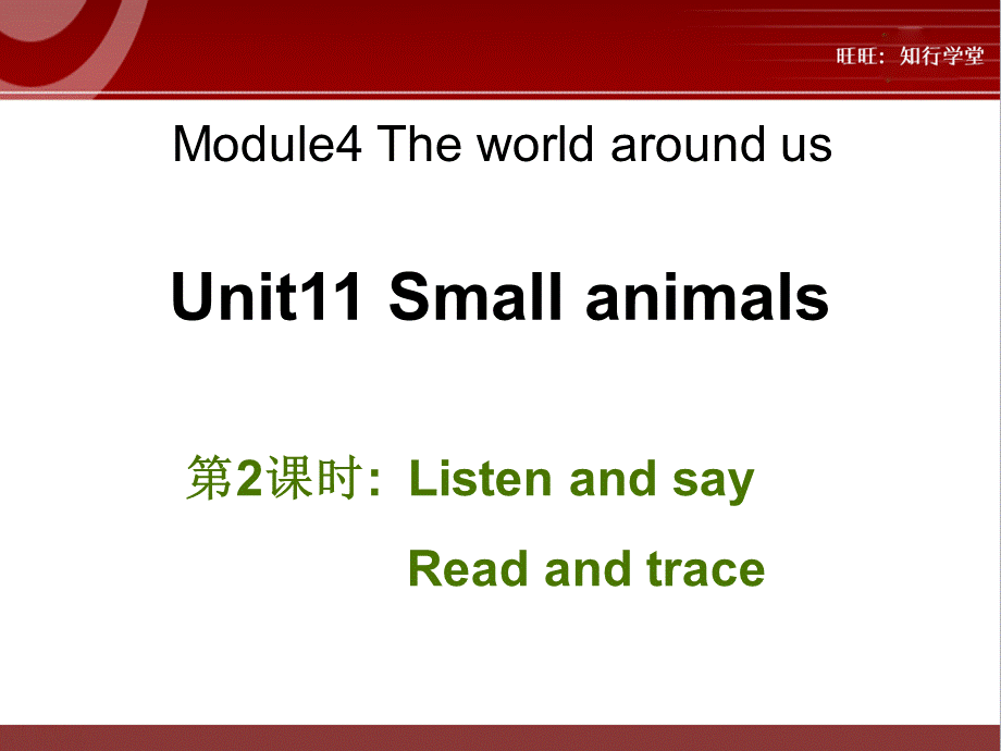 牛津上海版三上Unit 11《Small animals》（第2课时）ppt课件[旺旺：知行学堂].ppt_第1页