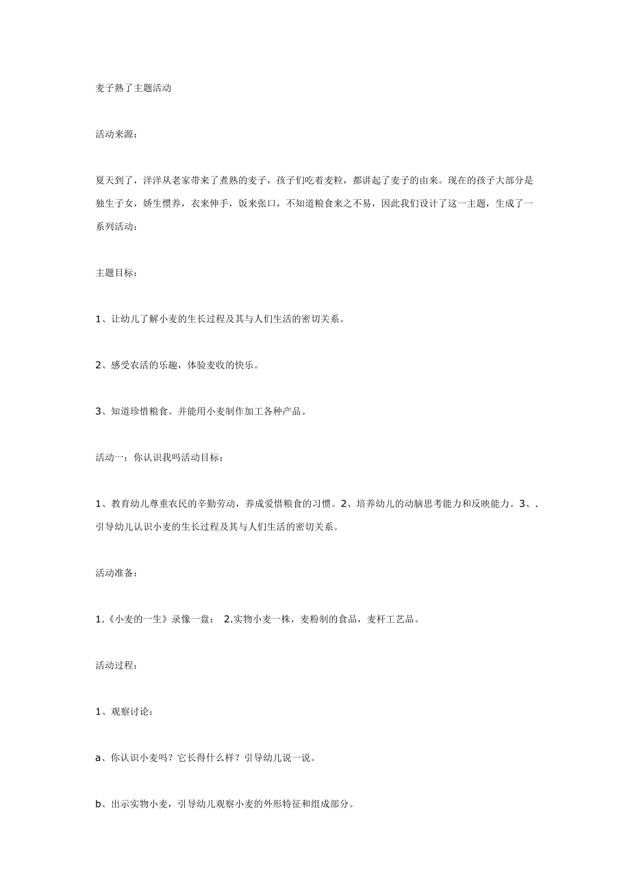 麦子熟了主题活动.doc_第1页