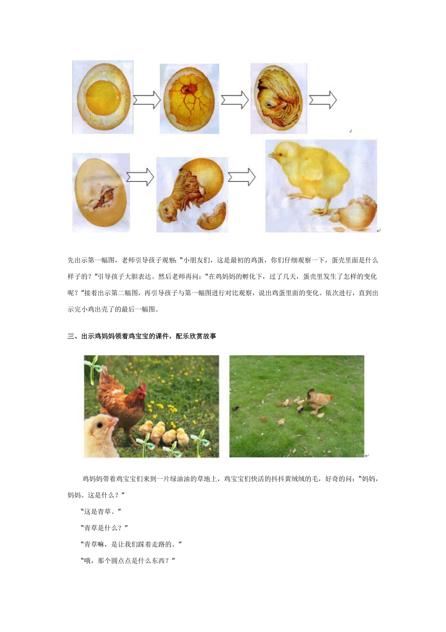 中班科学活动：小鸡出壳了.doc_第2页