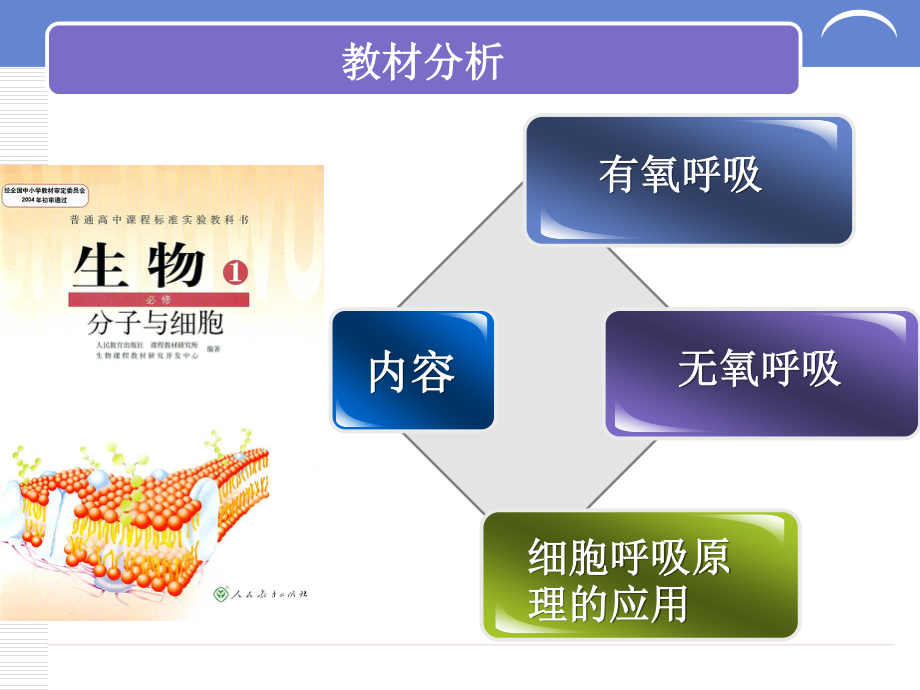 《ATP的主要来源-细胞呼吸》说课稿分解.ppt_第3页