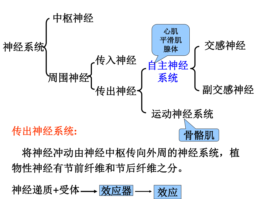 传出神经系统药理概论.ppt_第2页