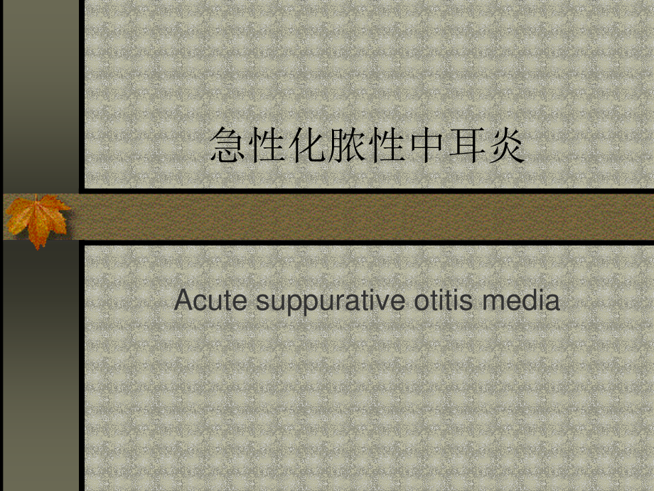 化-脓-性-中-耳-炎.ppt_第2页