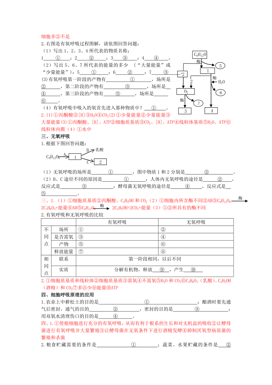 《ATP的主要来源——细胞呼吸》导学案.doc_第3页