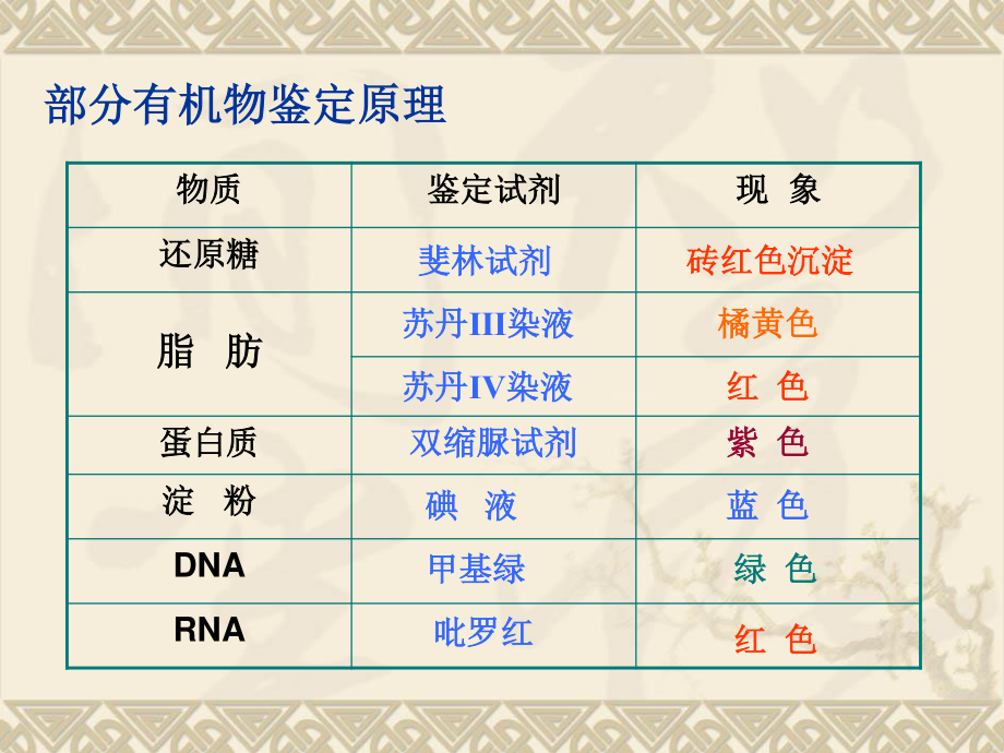 6组成细胞的分子第2章复习.ppt_第3页