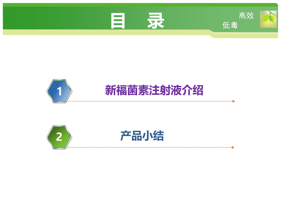 8-20新福菌素放化疗.pptx_第2页