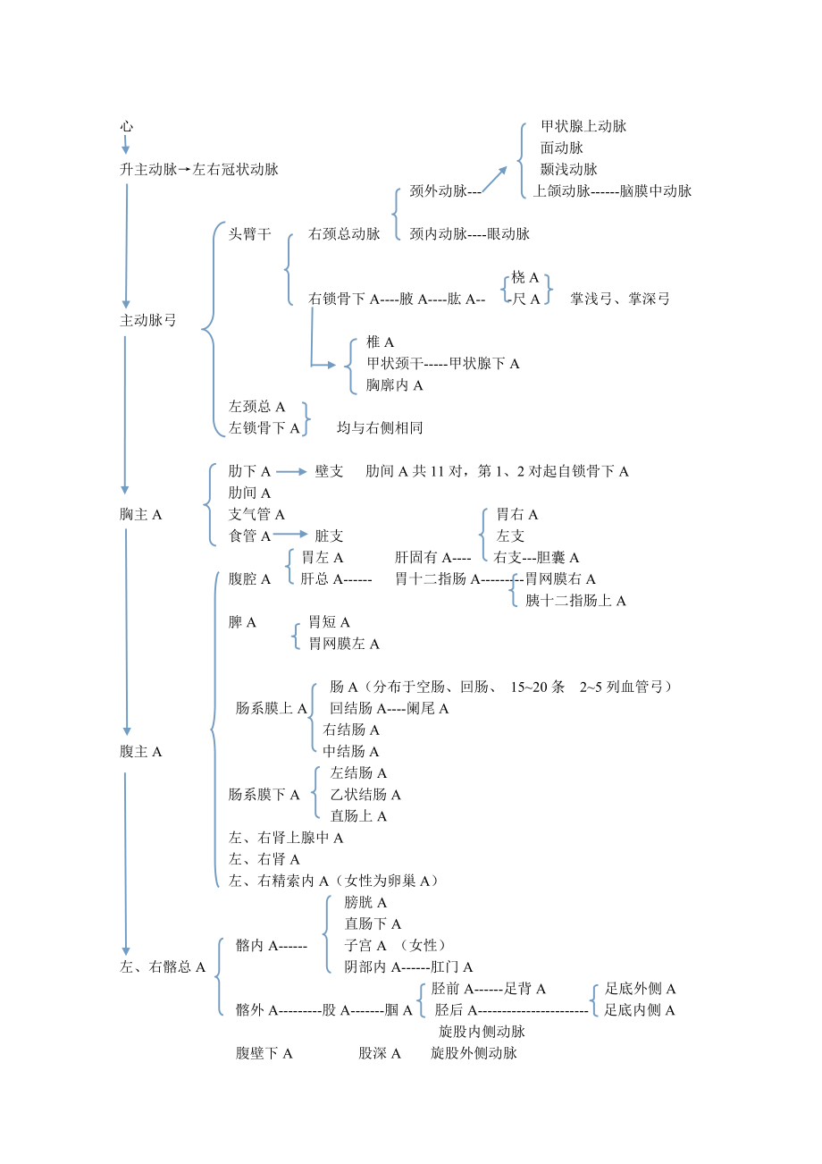 人体全身动脉图.doc_第1页