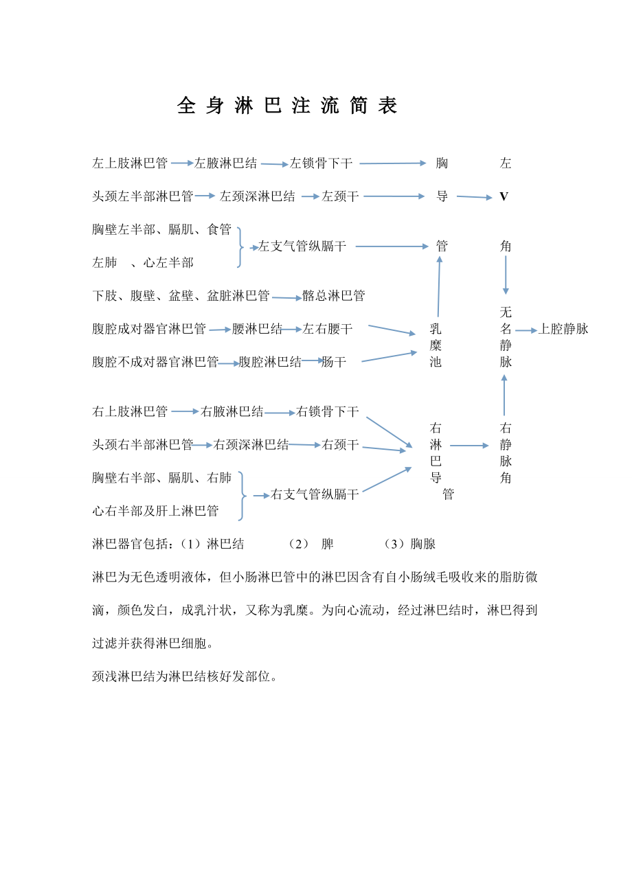 人体全身动脉图.doc_第2页