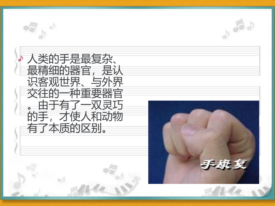 儿童脑瘫的精细动作训练.ppt_第2页