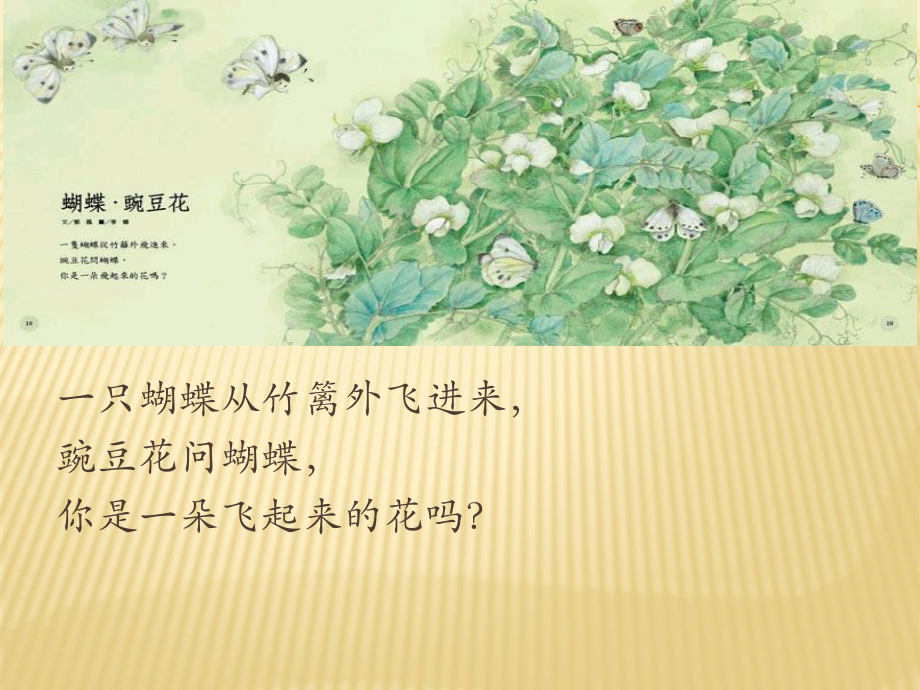 儿童诗集：蝴蝶豌豆花.pptx_第2页