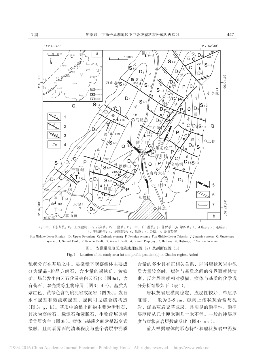 下扬子巢湖地区下三叠统瘤状灰岩成因再探讨.pdf_第3页