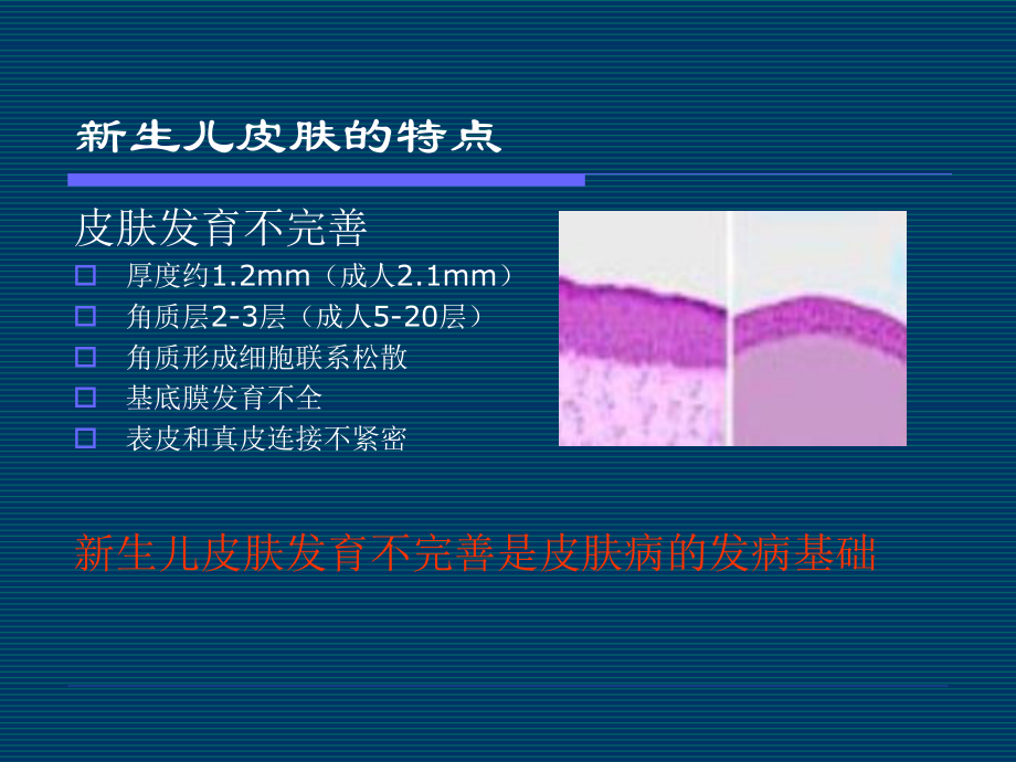 儿童皮肤病之新生儿篇.ppt_第2页