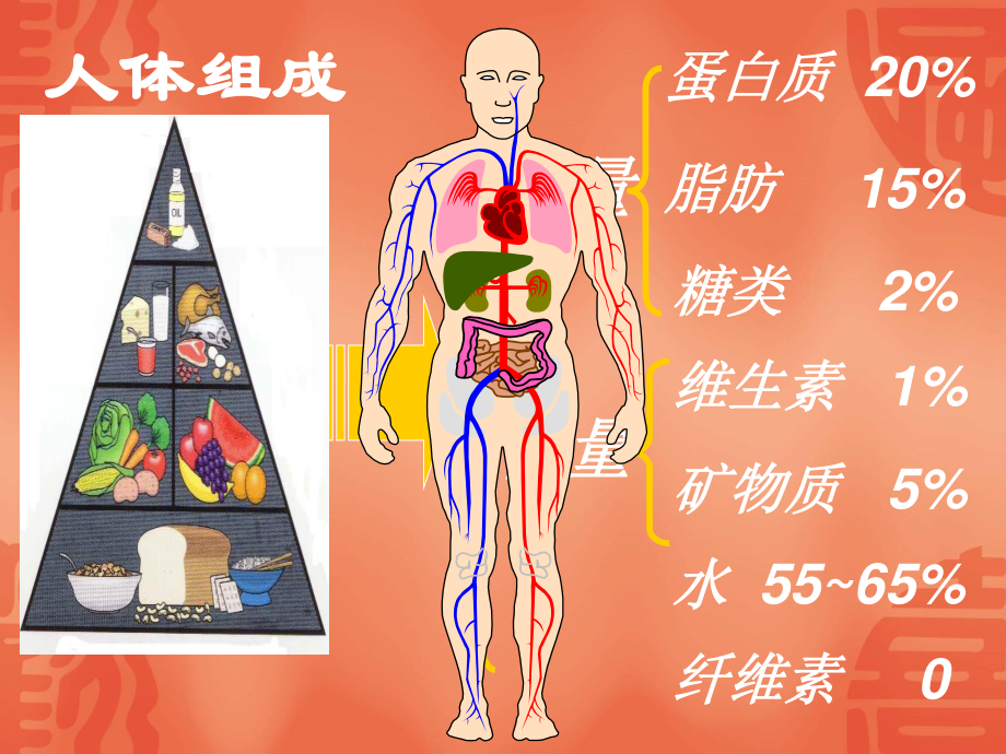 人体必须的七大营养素(一).ppt_第2页