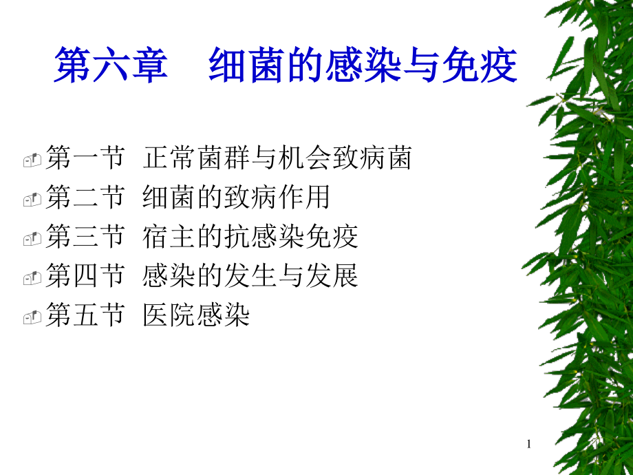 C6细菌感染与免疫.ppt_第1页