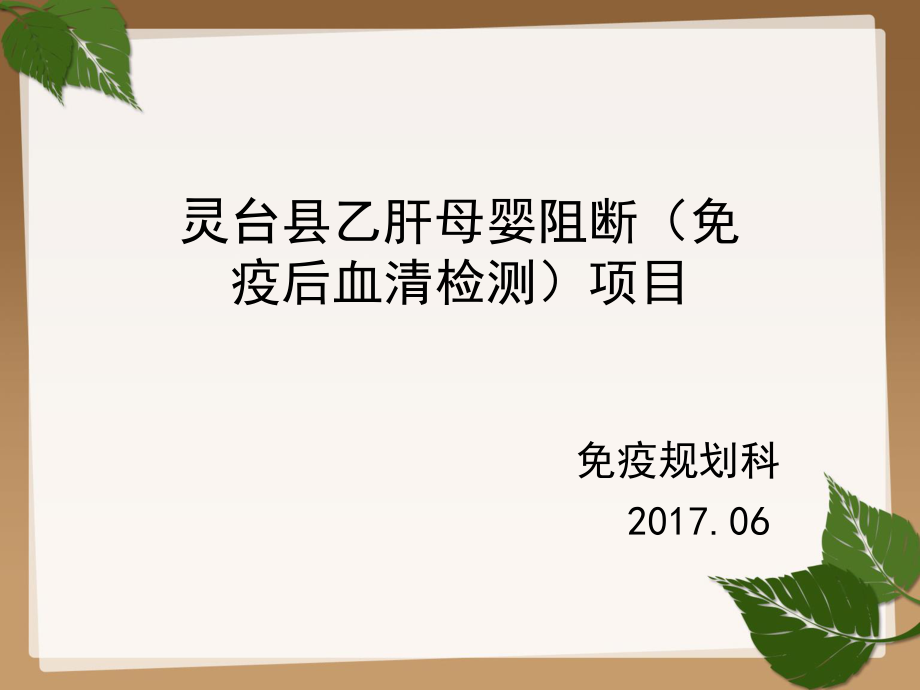 乙肝母婴阻断项目.ppt_第1页