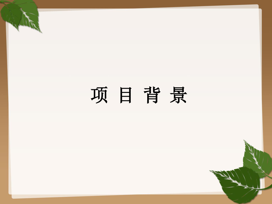 乙肝母婴阻断项目.ppt_第3页