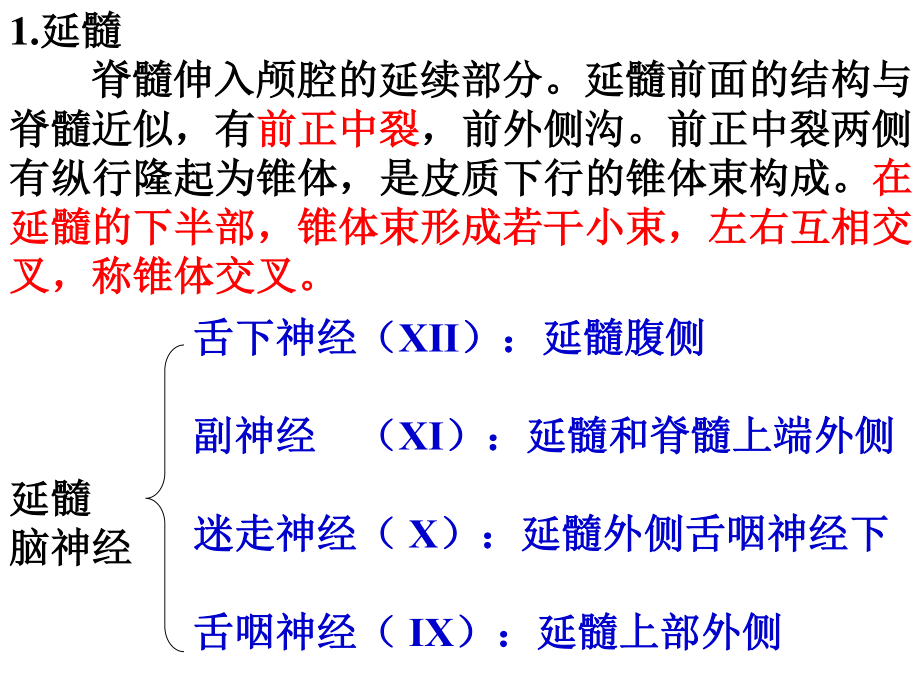 人脑的结构.ppt_第3页