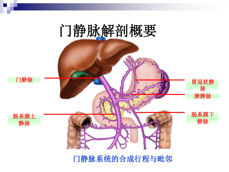 48第48章门静脉高压症(陈孝平)-56页PPT资料.ppt_第3页