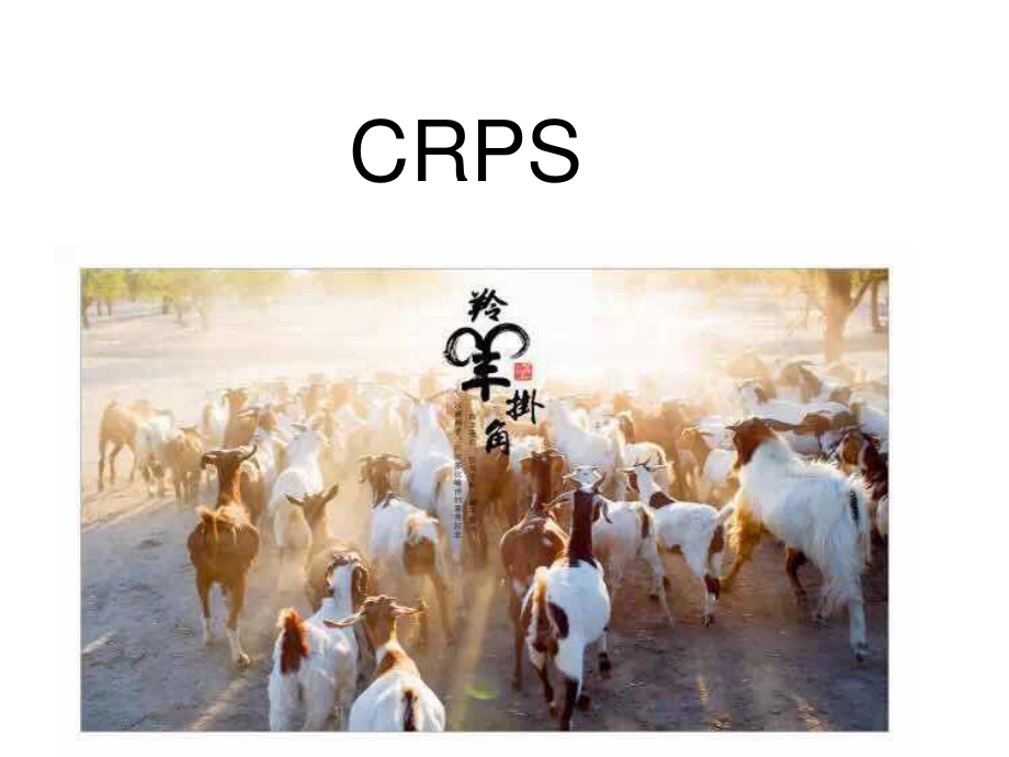 CRPs-复杂性区域疼痛综合征.ppt_第1页