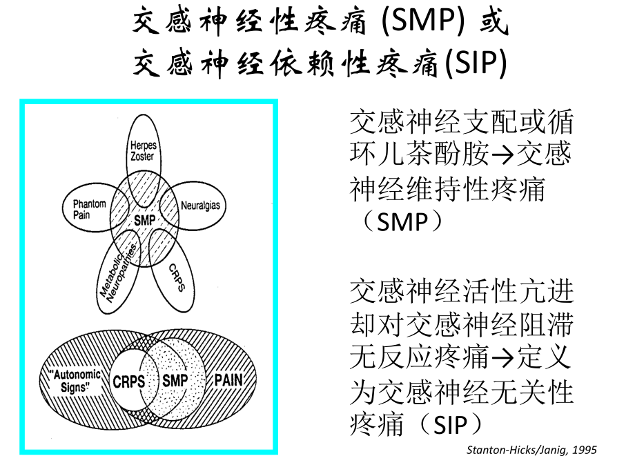 CRPs-复杂性区域疼痛综合征.ppt_第3页