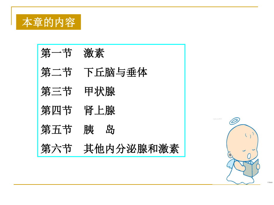 内分泌(药学).ppt_第2页