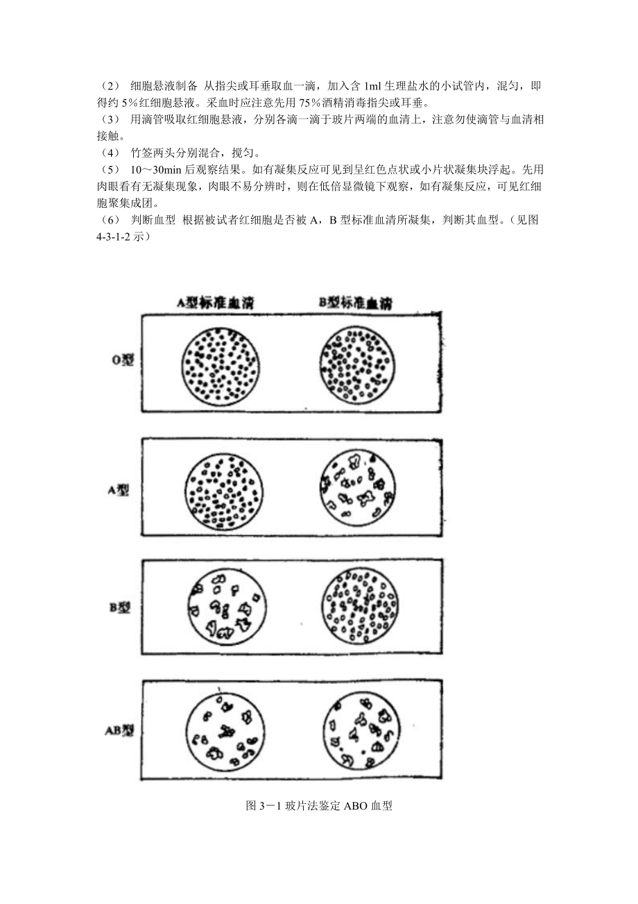 abo血型鉴定及人体动脉血压测定(精).doc_第2页