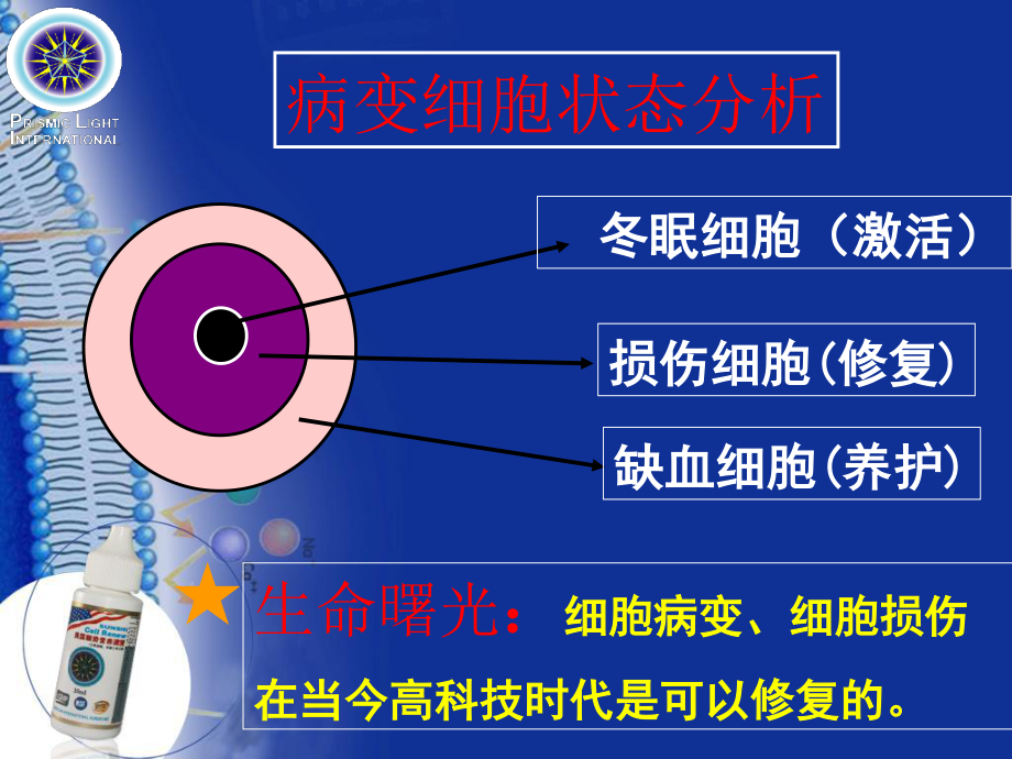 【顺势细胞食物六高版本】讲稿修订版.ppt_第3页