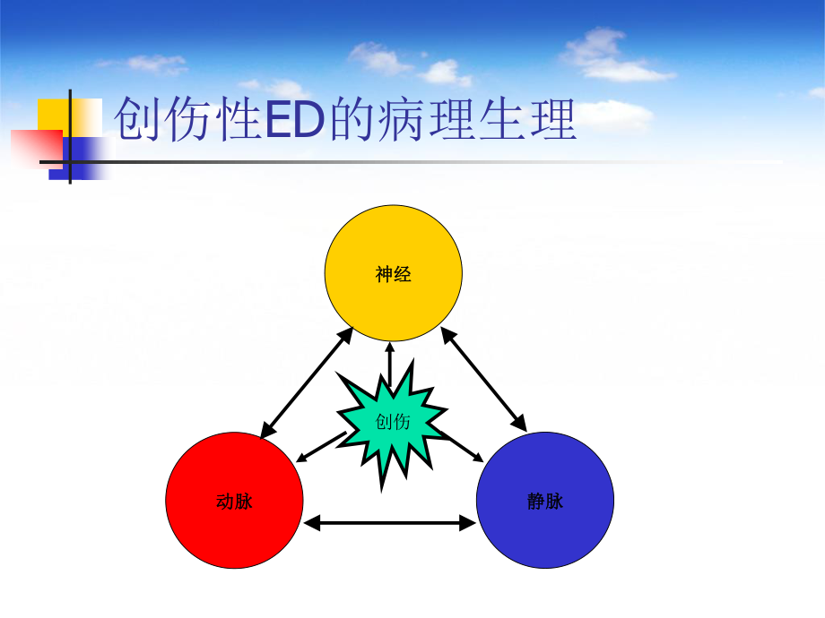 创伤性ED的诊治.ppt_第3页